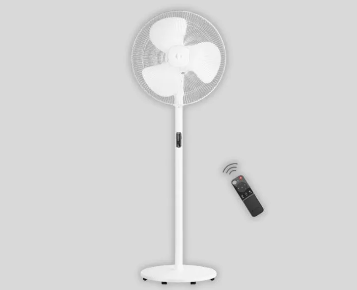 Energy efficient BLDC fans in Kerala homes